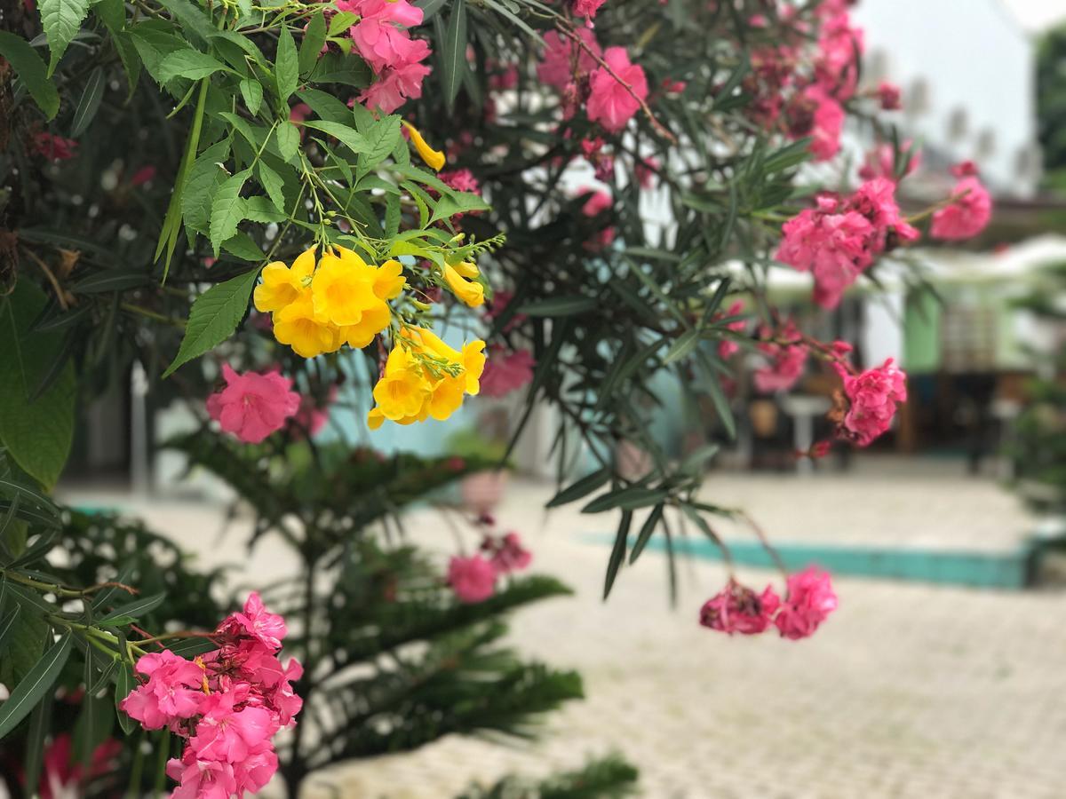 Scenarium Hotel Jaboatao dos Guararapes Luaran gambar
