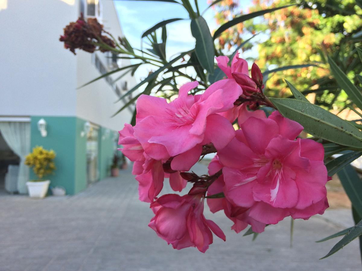 Scenarium Hotel Jaboatao dos Guararapes Luaran gambar